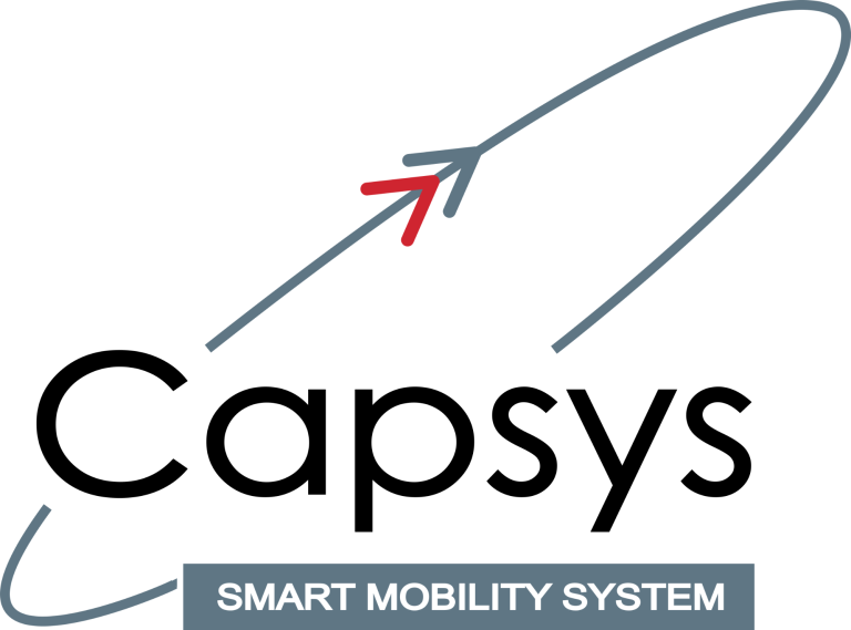 capsys - icn 
